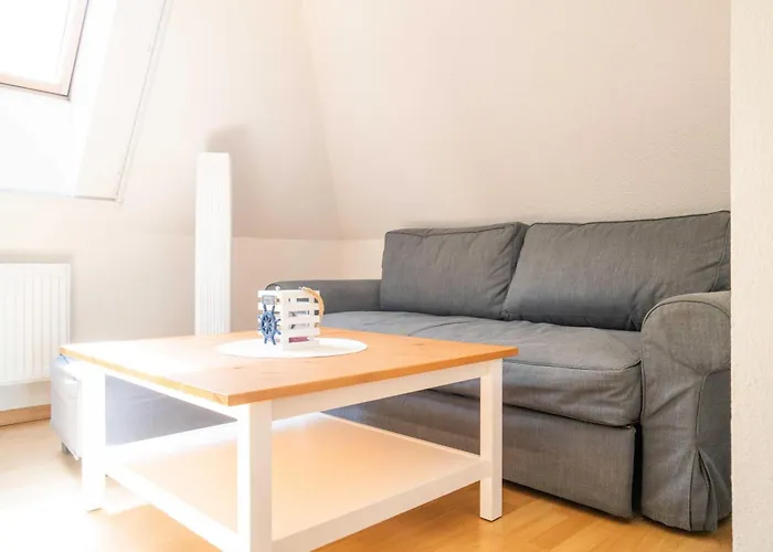 Windfluechter Brise *